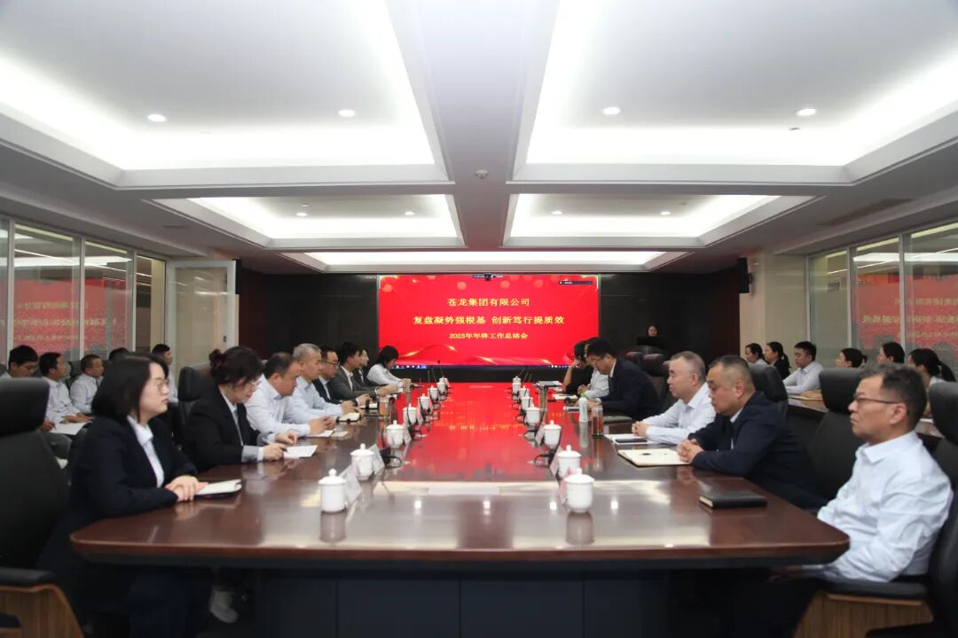 复盘凝势强根基，创新笃行提质效！苍龙集团2025年终工作总结会圆满召开