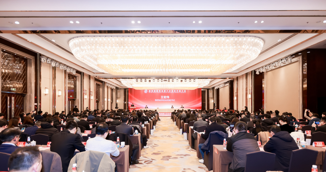 苍龙集团当选陕西国际商会副会长单位，携手共启陕西开放发展新征程