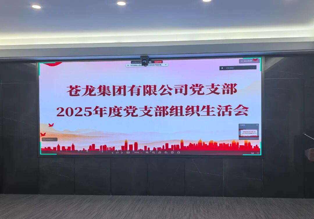 述职促干劲 评议助提升——苍龙集团党支部顺利召开组织生活会